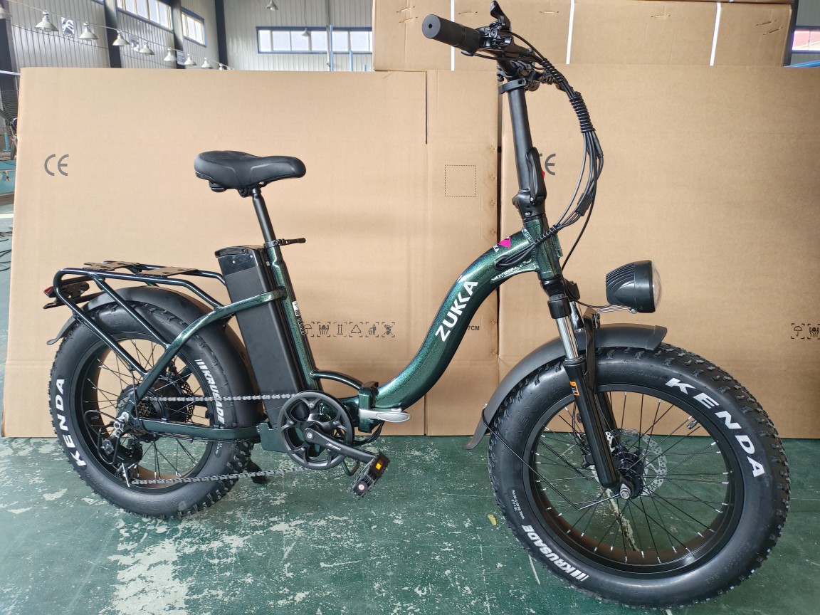 Factory Direct Folding Electric Bike with Fat Tires and Removable Battery